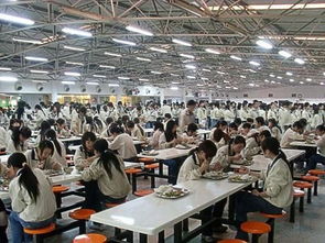 東莞電子廠女工的真實生活,想進電子廠的可以先了解一下